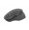NATEC Wireless Mouse Euphonie 2400DPI black