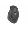 NATEC Wireless Mouse Euphonie 2400DPI black