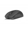 Natec Optical Mouse HOOPOE 2 1600 DPI, USB, Black