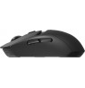 G309 LIGHTSPEED MOUSE/BLACK - EER2-933