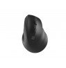 Natec | Vertical Mouse | Crake 2 | Vertical Mouse | Wireless | Bluetooth, 2.4GHz | Black