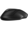 HP 255 Dual Wireless Mouse