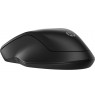 HP 255 Dual Wireless Mouse