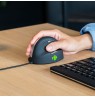 R-Go Mouse HE ergonomic right USB medium black retail