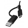 Lenovo 4Y51D20850 mouse Ambidextrous USB Type-C Optical 2400 DPI
