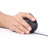 Mouse GEMBIRD MUS-ERGO-01 (Optical, 3200 DPI, black color