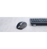 Cherry Mouse MW 9100 Wireless Recharge
