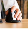 R-Go Tools Ergonomic mouse R-Go HE Break with break software, large (hand size ? 185 mm), left-handed, Bluetooth, black