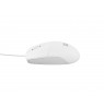 NATEC NMY-1988 mouse USB Type-A Optical