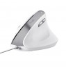 Trust Bayo II mouse Office Right-hand USB Type-A Optical 2400 DPI