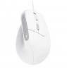 Trust Bayo II mouse Office Right-hand USB Type-A Optical 2400 DPI