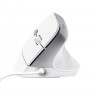Trust Bayo II mouse Office Right-hand USB Type-A Optical 2400 DPI