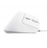 Trust Bayo II mouse Office Right-hand USB Type-A Optical 2400 DPI