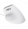 Trust Bayo II mouse Office Right-hand USB Type-A Optical 2400 DPI