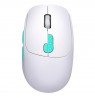 MOUSE DEFENDER NITTA MM-307 RF+BT OPTIC 1600dpi 6P WHITE