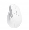 Trust Bayo II mouse Office Right-hand RF Wireless Optical 2400 DPI