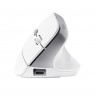 Trust Bayo II mouse Office Right-hand RF Wireless Optical 2400 DPI