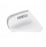 Trust Bayo II mouse Office Right-hand RF Wireless Optical 2400 DPI