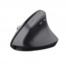 Trust Bayo+ mouse Office Right-hand RF Wireless + Bluetooth Optical 2400 DPI