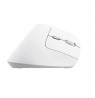 Trust Bayo II mouse Office Right-hand RF Wireless Optical 2400 DPI