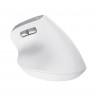 Trust Bayo II mouse Office Right-hand RF Wireless Optical 2400 DPI
