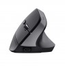 Trust Bayo+ mouse Office Right-hand RF Wireless + Bluetooth Optical 2400 DPI