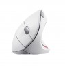 Wireless mouse TRUST VERTO WIRELESS ERGO MOUSE WHT