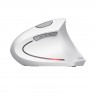 Wireless mouse TRUST VERTO WIRELESS ERGO MOUSE WHT