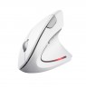 Wireless mouse TRUST VERTO WIRELESS ERGO MOUSE WHT