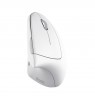 Wireless mouse TRUST VERTO WIRELESS ERGO MOUSE WHT