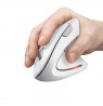 Wireless mouse TRUST VERTO WIRELESS ERGO MOUSE WHT