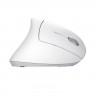 Wireless mouse TRUST VERTO WIRELESS ERGO MOUSE WHT