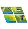 SCHILDKROT FUN SPORT PORTABLE SOCCER GOAL XL