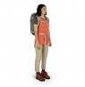 Osprey Hikelite 26 26 L