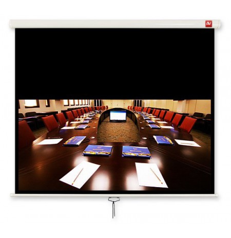 Screen projector for ceiling or wall mounting AVTEK BUSINESS 200 (ceiling, wall, manual expandable, 190 x 119 cm, 16:10, 88")