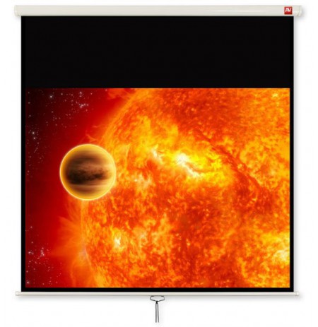 Avtek International Video 200 projection screen 4:3