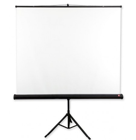 Screen projector with stand AVTEK Tripod Standard 175 (manual expandable, 175 x 175 cm, 1:1, 97