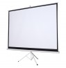 Silelis ET-1 100" Projection Screen (180x180 cm, 1:1), Auto-Roll-Up, Tripod/Stand