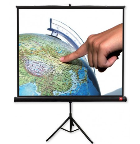Avtek TRIPOD Pro 180 projection screen 1:1