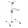 Mobile Presentation Table for Projector and Notebook