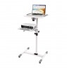 Mobile Presentation Table for Projector and Notebook