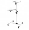 Mobile Presentation Table for Projector and Notebook