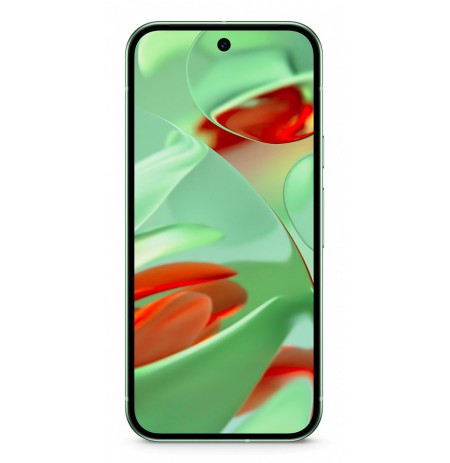 Google Pixel 9 16 cm (6.3"), 12 GB, 128 GB, 50 MP, Android 14, Wintergreen