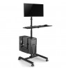 Maclean professional stand, mobile computer station on wheels, max 17"-32", max 20kg, MC-793