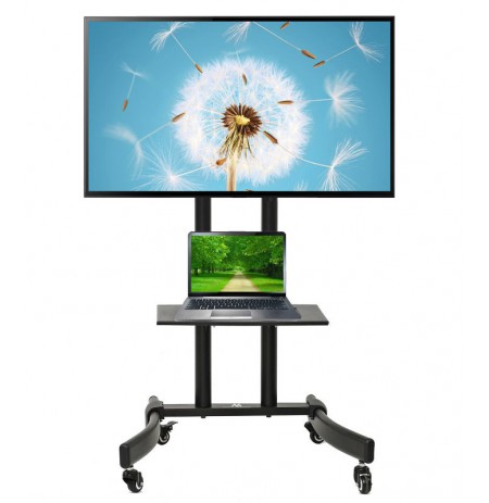 TV trolley stand Maclean, professional, on wheels, max 32-65", max 40kg, MC-739