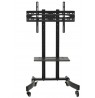 TV trolley stand Maclean, professional, on wheels, max 32-65", max 40kg, MC-739