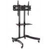 TV trolley stand Maclean, professional, on wheels, max 32-65", max 40kg, MC-739