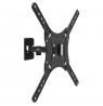 Mount wall for TV Maclean MC-758 (Wall, 13" - 55", max. 30kg)