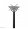 Neomounts monitor ceiling mount