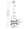 Mount ceiling for TV Maclean MC-803 (Ceiling, 23" - 100", max. 50kg)
